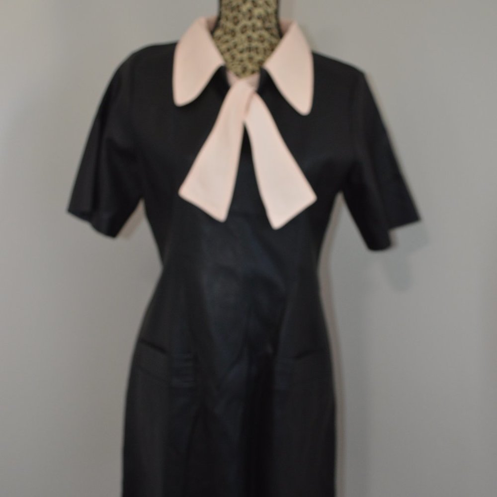 Gracia Vegan Leather Dress with Removable collar